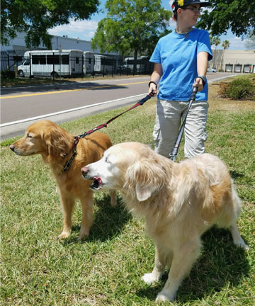 Dog walking in Port Charlotte Florida