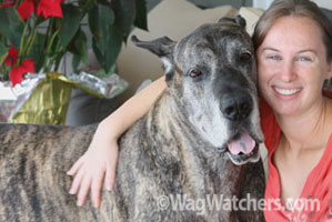 professional-pet-sitter-fl